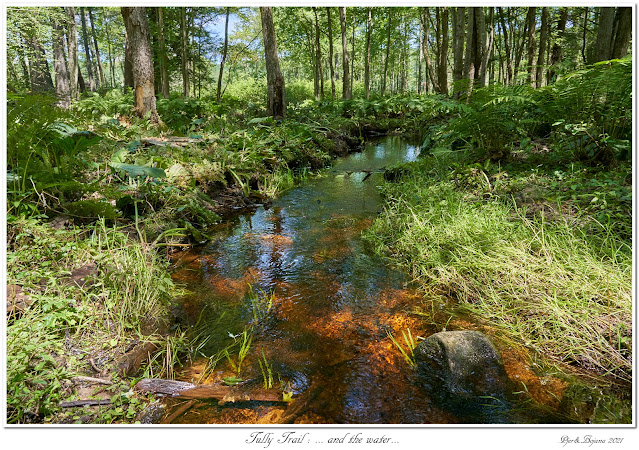 Tully Trail: ... and the water...