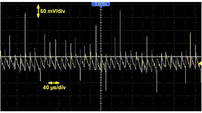 SPS-H305-labvoeding-17 (© 2021 Jos Verstraten)