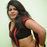 Sitara Hot Photos in Saree at Gundello Guchi Guchi Champake Movie Press Meet 20 