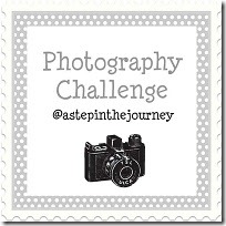 photo_challenge_button_2