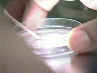 Fertility Treatment Should Be Covered By OHIP