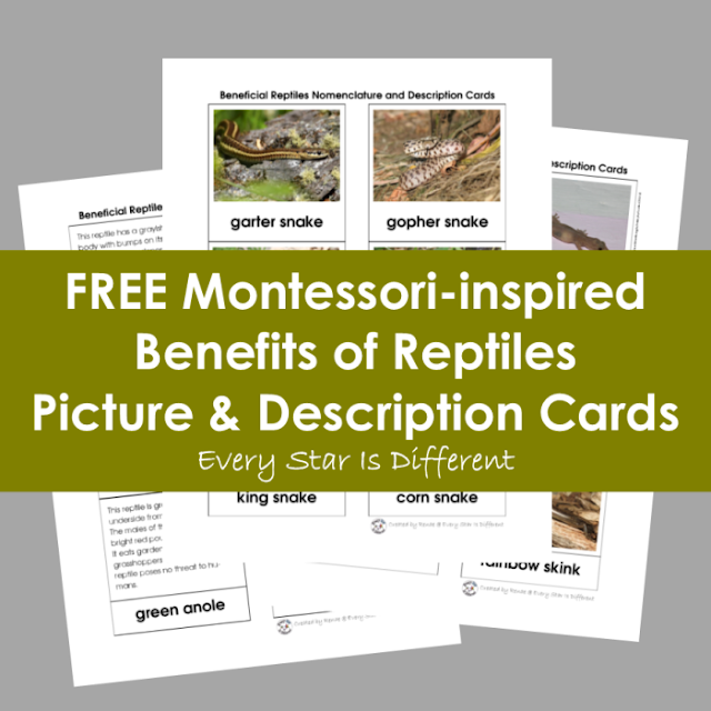 FREE Montessori-inspired Benefits of Reptiles Picture & Description Cards