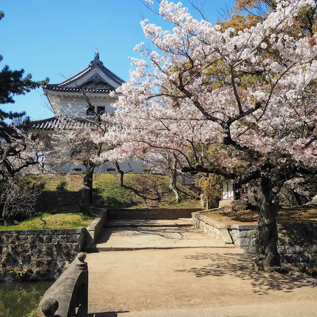 亀城公園　土浦城