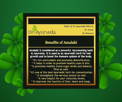 Benefit of Amalaki herb by Dr Ayurveda