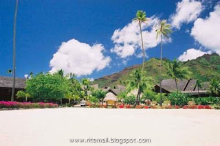 Tropical Island Of Fiji 