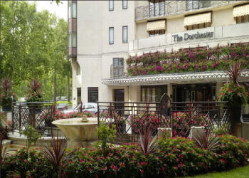 The Dorchester Hotel