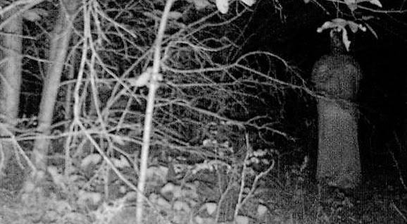 Hình ảnh ma quỷ đáng sợ nhất thế giới