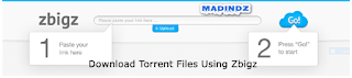 تحويل روابط التورنت إلى داونلود مانجر بمساعدة zbgz