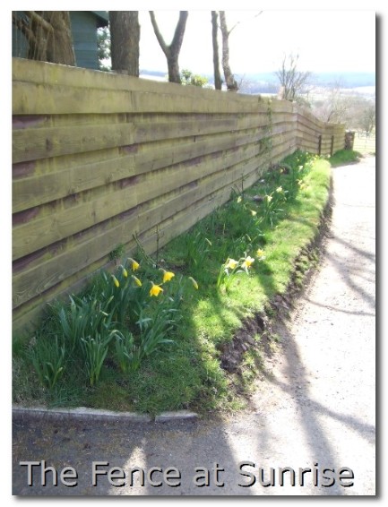 northumberland at springtime