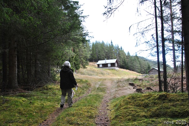 Bygdeborgen 060