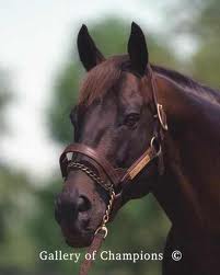 I See Dead  People Seattle  Slew 
