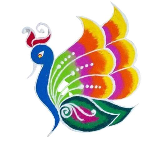 small rangoli design for peacock