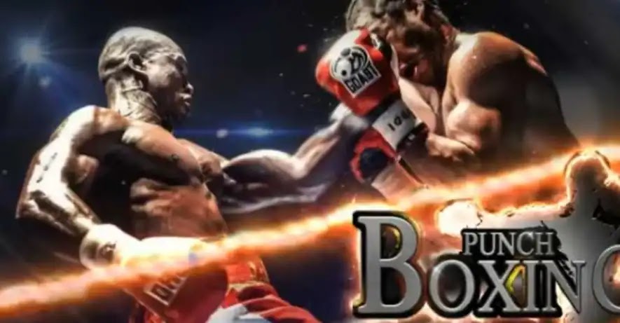 Punch Boxing 3D