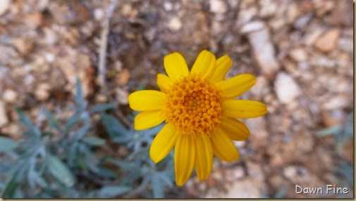 Romero pools hike_096