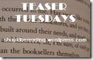 teasertuesdays31