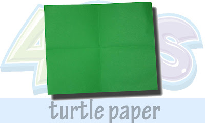  turtle paper 1