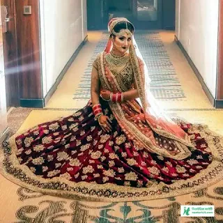 Saree Lehenga Designs - Lehenga Designs 2023 - Indian Lehenga Designs - Lehenga Designs Image Price Bangladesh - Lehenga Designs - NeotericIT.com - Image no 20