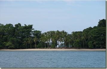 panamaIMG_8565