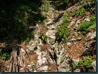 DSCN3314