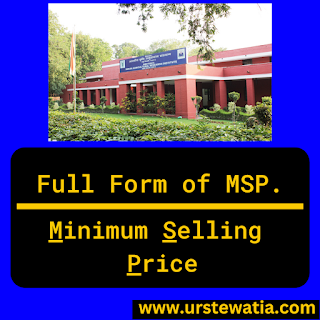 Full form of MSP - Everything you need to know - urstewatia.com