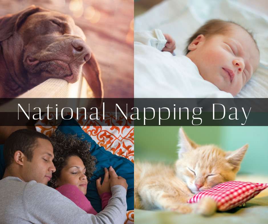 National Napping Day Wishes Lovely Pics