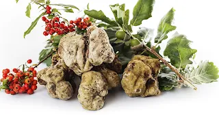 C’è profumo di tartufo da Radicetonda 30 novembre Milano