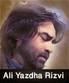 http://www.humaliwalayazadar.com/2015/04/ali-yazdha-rizvi-nohay-2013-to-2016.html