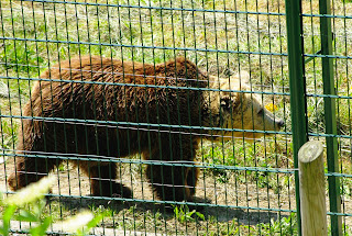 Senda del oso, cercado osero