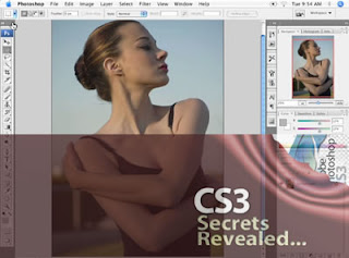 il nuovo Adobe Photoshop CS3 stà per arrivare!