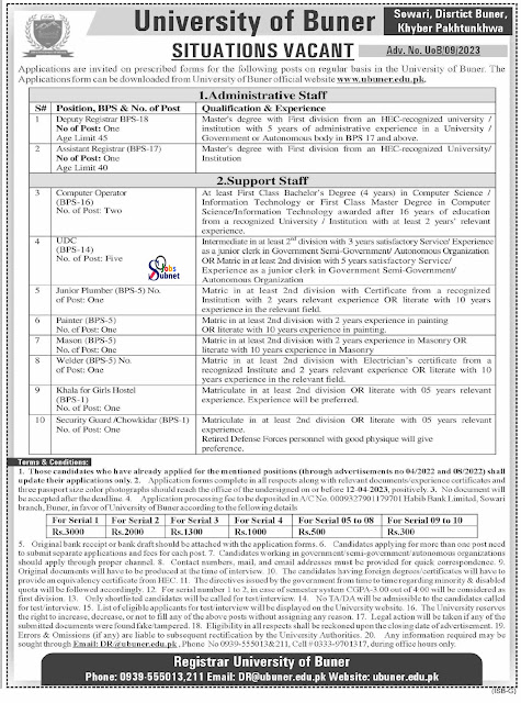 The University of Buner Jobs 2023