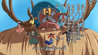 ワンピースアニメ ドレスローザ編 OPテーマ 18 チョッパー Tony Tony Chopper | ONE PIECE Hard Knock Days