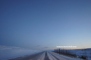 冬　アイスランド　道路　積雪　まっすぐ　直線　薄暗い空　絶景