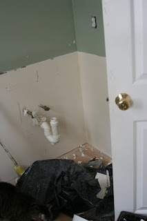  Fall Craft Ideas  Home on Knit Jones  Bathroom Reno Day  1   In Pictures