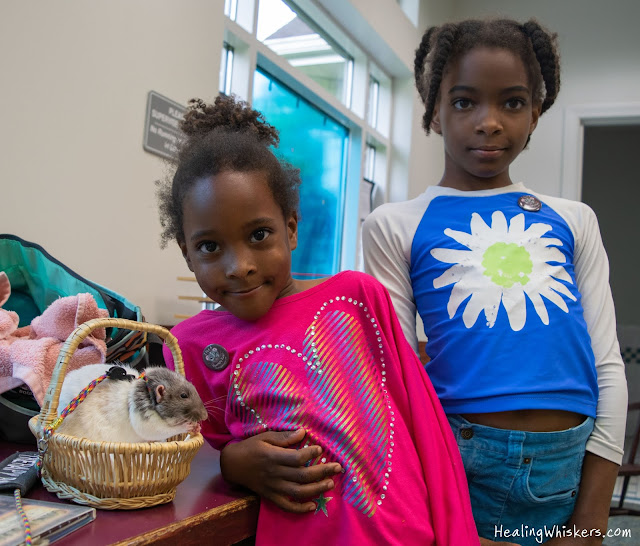 Vincent the Therapy Rat reading with kids at the Chattooga County Library