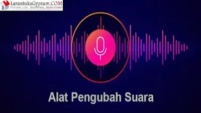 aplikasi pengubah teks