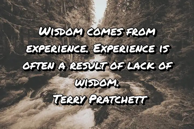 Wisdom comes from experience. Experience is often a result of lack of wisdom. Terry Pratchett