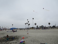 IMG_2697