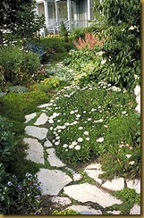 pathway