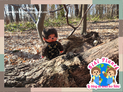 kiki monchhichi walk