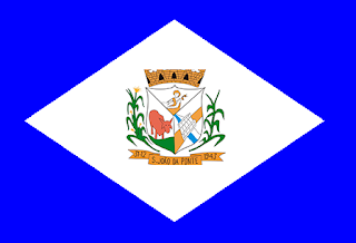 Bandeira de São João da Ponte MG