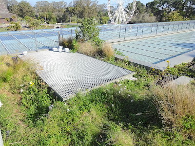 roof with solar panels