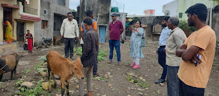 इमेज