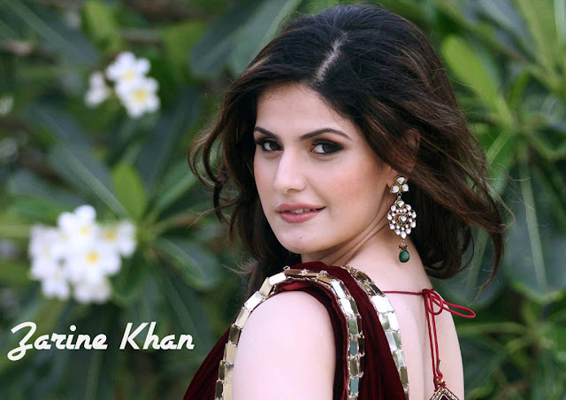 Zarine Khan Wallpapers Free Download