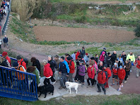 Accedint a la passera sobre la carretera de Torrelles