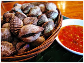 Bahaya makan kerang, kesan buruk makan kerang, akibat makan kerang, 