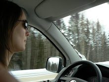 Pilote en chef