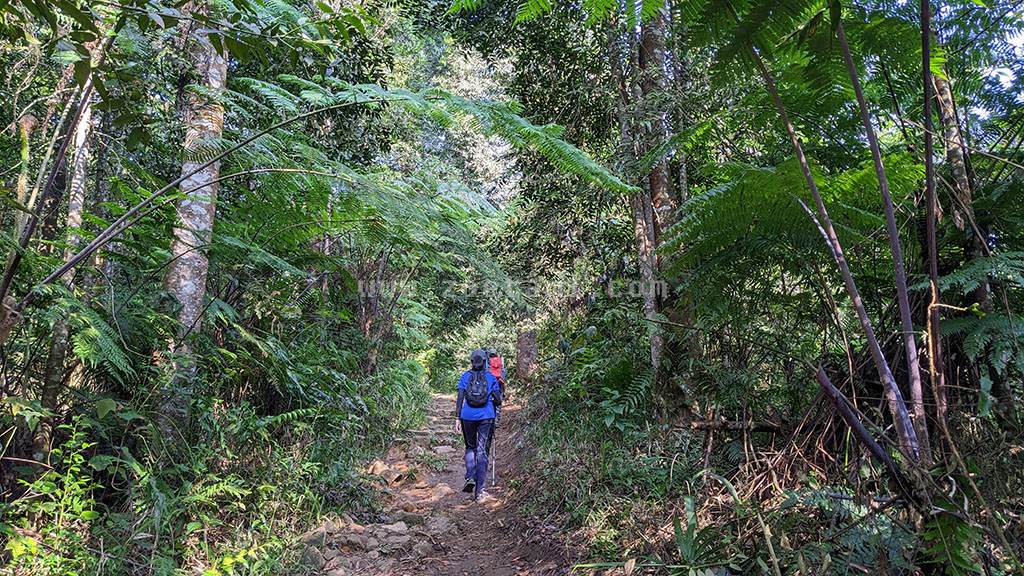 Jalur Trekking Kawah Ratu via Cidahu Sukabumi