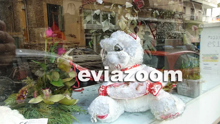 Σοκ στην Χαλκίδα: Κουκουλοφόροι έκαψαν το ανθοπωλείο του Σπύρου Δαριβέρη - Ο επιχειρηματίας μιλά αποκλειστικά στο eviazoom.gr - «Με κατέστρεψαν, δεν έχω με κανέναν προστριβές...» (ΦΩΤΟ & ΒΙΝΤΕΟ) Σοκ στην Χαλκίδα: Κουκουλοφόροι έκαψαν το ανθοπωλείο του Σπύρου Δαριβέρη - Ο επιχειρηματίας μιλά αποκλειστικά στο eviazoom.gr - «Με κατέστρεψαν, δεν έχω με κανέναν προστριβές...» (ΦΩΤΟ & ΒΙΝΤΕΟ)