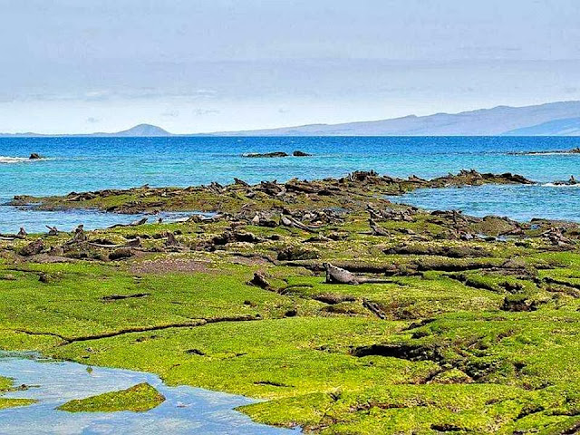 Galapagos Island stills