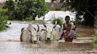 India: Thousands displaced by floods in Orissa and many more